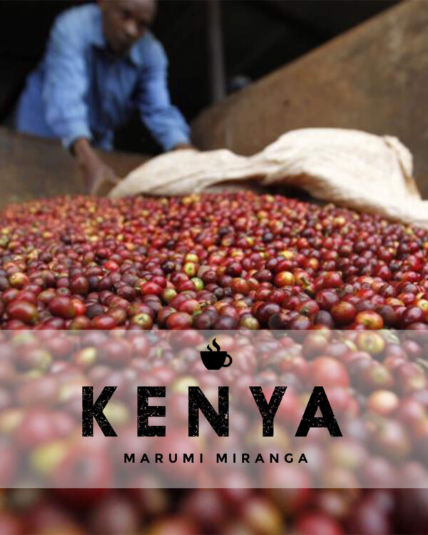 Кафе на зърна Кения – Kenya Marumi Miranga – 1кг.