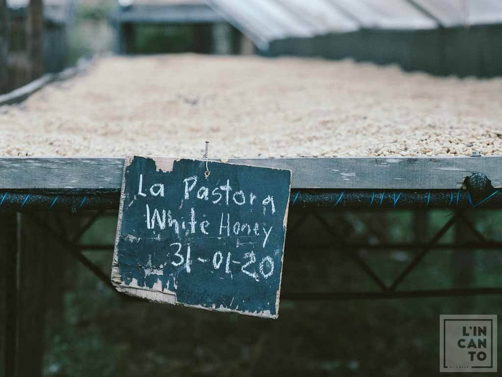 Кафе на зърна Коста Рика-Costa Rica White Honey