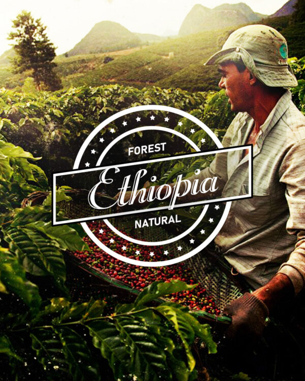 Кафе на зърна Етиопия – Ethiopia Forest Natural