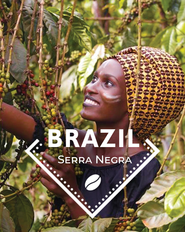 Кафе на зърна Бразилия – Brazil Siera Negra