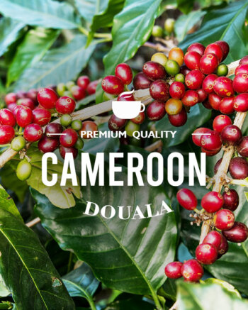 Кафе на зърна Камерун - Cameroon Douala Robusta