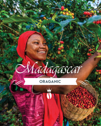 Кафе на зърна Мадагаскар - Madagascar Organic robusta