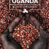Кафе на зърна Уганда - Uganda Bugisi Organic
